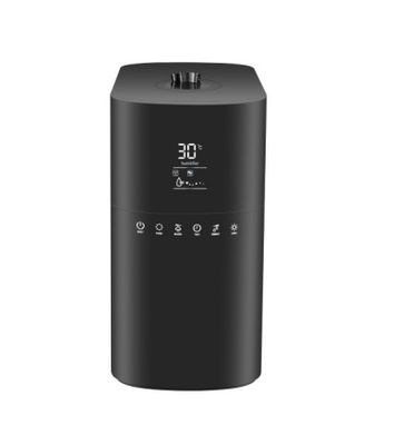 Portierbare Luft-Befeuchter-Nebel-Anpassung 60Hz 350ml/H elektrische